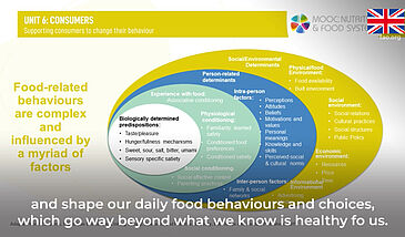 Food systems and nutrition : Influencing consumers´ food behaviours