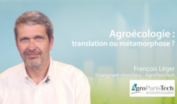 Agroécologie : translation ou métamorphose ?