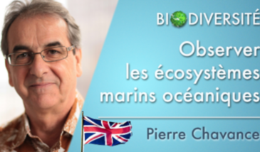 Observation of oceanic marine ecosystems