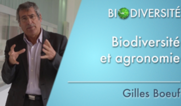Biodiversité et agronomie - Clip