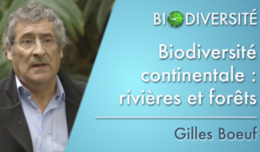 Biodiversité continentale : rivières et forêts - Clip