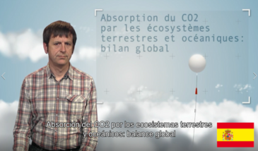 Absorción del CO2 por los ecosistemas terrestres y oceánicos : balance global