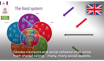 The ‘food systems’ approach