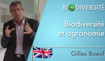 Biodiversity - Biodiversity and agronomy