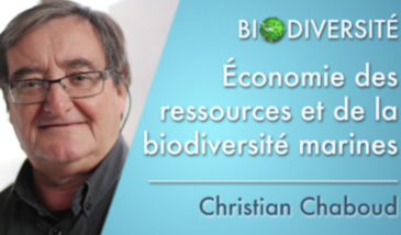 Economie des ressources et de la biodiversité marines
