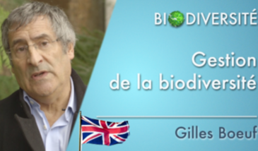 Biodiversity - Managing biodiversity