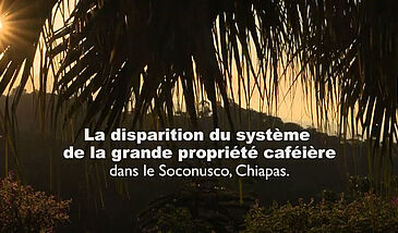 La disparition du système de la grande propriété caféière dans le Soconusco, au Chiapas  - Bonus 1