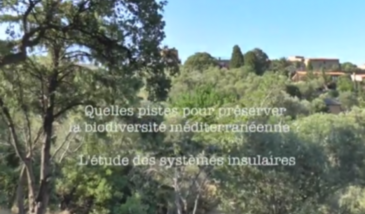 Série EcoMedit n°22 : Quelles pistes pour préserver la biodiversité méditerranéenne ? L'étude des systèmes insulaires