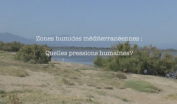 Série EcoMedit n°23 : Zones humides méditerranéennes - Quelles pressions humaines ?