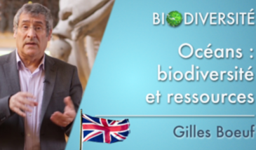 Biodiversity - Oceans: introduction to biodiversity and resources