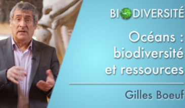 Océans : biodiversité et ressources - Clip