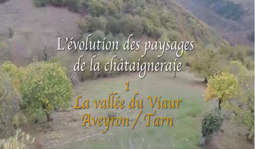 L'évolution des paysages de la châtaigneraie 1. La vallée du Viaur (Aveyron / Tarn)