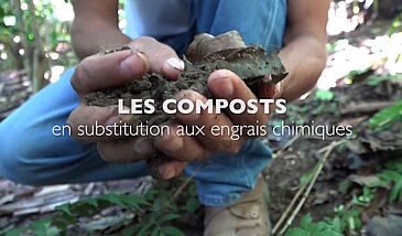 Les composts, en substitution des engrais chimiques