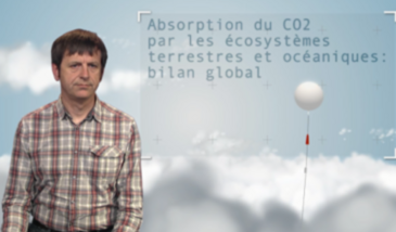 Absorption CO2 par les écosystèmes terrestres et océaniques : bilan global