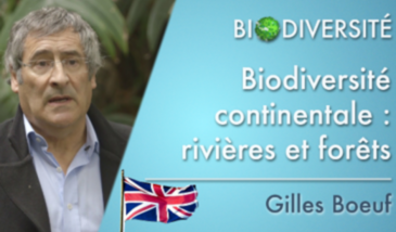 Biodiversity - Continental biodiversity: rivers and forests