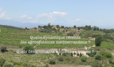 Série EcoMedit n°15 : Quelle dynamique récente des agrosystèmes méditerranéens ? Quels facteurs de changement ?