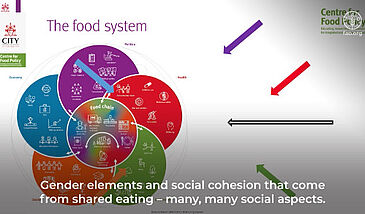 L’approche ‘systèmes alimentaires’
