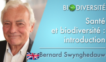 Health and biodiversity: what links