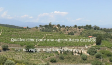 Série EcoMedit n°16 : Quelles clés pour une agriculture méditerranéenne durable ?