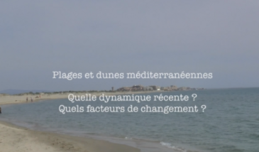 Série EcoMedit n°25 : Plages et dunes littorales : quelle dynamique récente ? Quels facteurs de changement ?