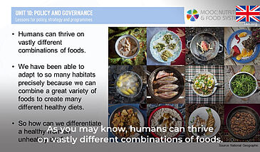 Food-based dietary guidelines (FBDGs) to inform policies and programmes for food system transformation