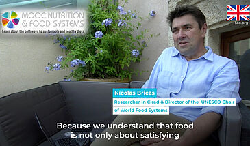The food system: Dimensions, drivers, outcomes, complexity - A word from the experts