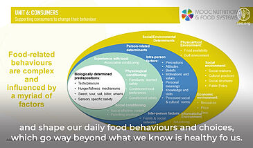 Systèmes alimentaires et nutrition : influencer les comportements alimentaires des consommateurs