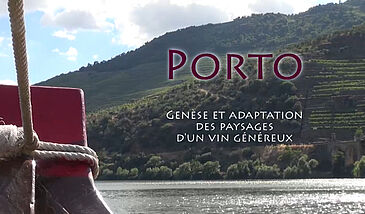 Porto : genèse et adaptation des paysages d'un vin généreux