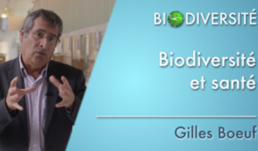 Biodiversité et santé - Clip