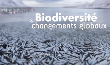 Biodiversité et Changements Globaux
