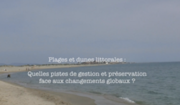 Série EcoMedit n°26 : Plages et dunes littorales : quelles pistes de gestion face aux changements globaux ?