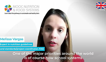 Systemic interventions for nutrition and healthy diets. A word from the experts.