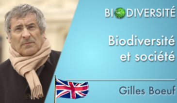 Biodiversity - Biodiversity and society