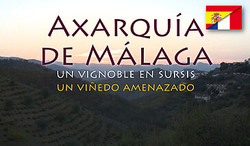 Axarquia de Malaga, un vignoble en sursis