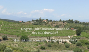Série EcoMedit n°14 : L'agriculture méditerranéenne est-elle durable ? Quelles menaces sur les agrosystèmes ?