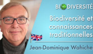 Biodiversity and traditional knowledge