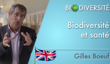 Biodiversity - Biodiversity and health