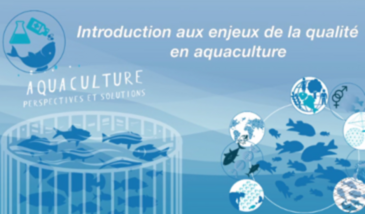 La qualité en aquaculture