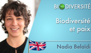 Biodiversity and peace