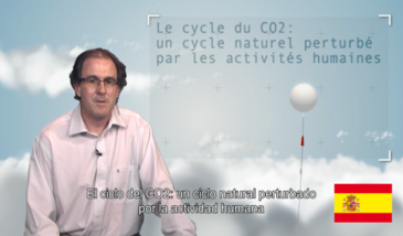 El ciclo del CO2 : un ciclo natural perturbado por la actividad humana