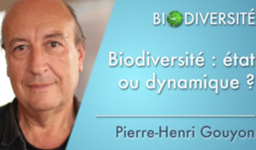 Biodiversité : état ou dynamique