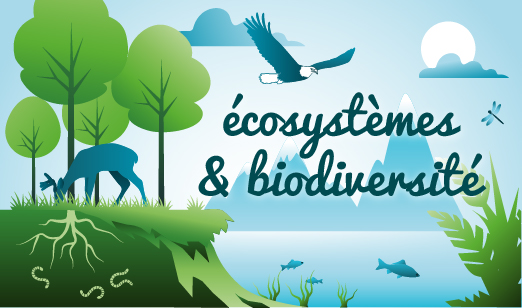 Ecosystèmes et biodiversité